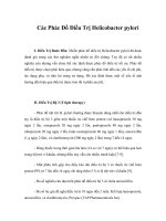 Giáo trình Các Phác Đồ Điều Trị Helicobacter pylori