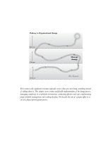 Creating the project office 16