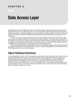 Data Access Layer