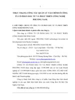 THỰC TRẠNG CÔNG TÁC QUẢN LÝ TÀI CHÍNH Ở CÔNG TY CỔ PHẦN ĐẦU TƯ VÀ PHÁT TRIỂN CÔNG NGHỆ PHƯƠNG NAM