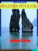 DAI TU- Mai Khoa Chung