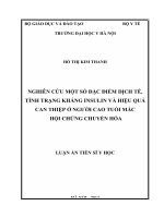 Nghiên cứu một số đặc điểm dịch tễ, tình trạng kháng insulin và hiệu quả can thiệp ở người cao tuổi mắc hội chứng chuyển hóa 