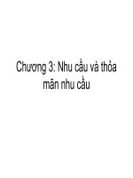Chương 3: Nhu cầu và thỏa mãn nhu cầu