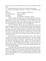 Thực trạng công tác kế toán nguyên vật liệu của Công Ty Cổ Phần May Thăng Long