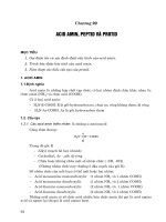 ACID AMIN, PEPTID VÀ PROTID