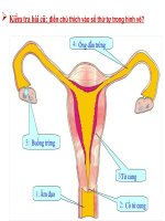sinh hco 8. thụ tinh, thụ thai