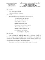 Đề thi HSG môn Ngữ Văn 9