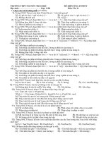 Bài kiểm tra chương IV_tin 11