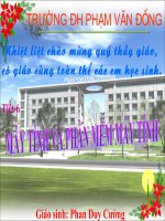 Máy tính và phần mềm máy tính. VIP