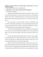 NHỮNG VẤN ĐỀ CHUNG VỀ HOẠT ĐỘNG NHẬP KHẨU TẠI CÁC DOANH NGHIỆP