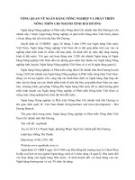 TỔNG QUAN VỀ NGÂN HÀNG NÔNG NGHIỆP VÀ PHÁT TRIỂN NÔNG THÔN CHI NHÁNH TỈNH HẢI DƯƠNG