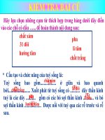 Trụ não, tiểu não, não trung gian