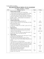 KH tuần 10 đến tuần 19- NH 010-011-HT