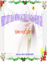 tiet 22 dac diem chung va vai tro cua nganh than mem