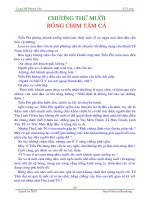 Long hổ phong vân - tập 10