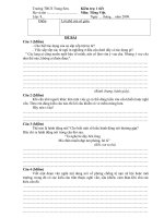 Kiểm tra Tiếng Việt tiết 130