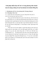 Giải pháp nhằm hạn chế rủi ro trong phương thức thanh toán tín dụng chứng từ tại Sacombank chi nhánh Đống Đa