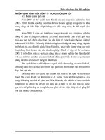 Những định hướng của công ty trong thời gian tới