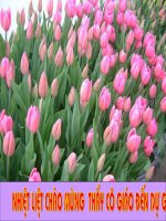 Bài 16. Quyền được pháp luật bảo hộ về thân thể, tính mạng,danh dự và nhân phẩm