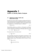 Appendix 1 - Outline of Density Matrix Analysis