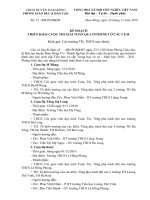 Kế hoạch giải toán qua mạng internet