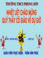 luyện tập hình học 6