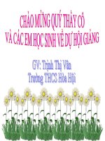 hấp thụ chất dinh dưỡng và thải phân