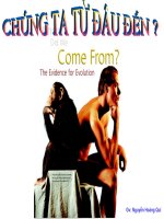 Bằng chứng về nguồn gốc động vật của con người