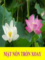 Mặt nón tròn xoay