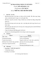 những chú bướm xinh