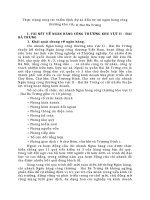 Thực trạng công tác thẩm định dự án đầu tư tại ngân hàng công thương khu vực II Hai Bà Trưng