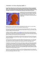 Lãnh đạo và tư duy tổng hợp