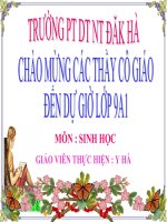 Giáo sinh học 9