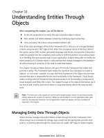 Understanding Entities Through Objects