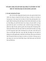 TỔ CHỨC CÔNG TÁC KẾ TOÁN TẠI CÔNG TY CỔ PHẦN TƯ VẤN ĐẦU TƯ THƯƠNG MẠI VÀ XÂY DỰNG LAM SƠN