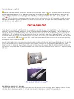 cách bấm đầu J45