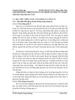 GIẢI PHÁP HOÀN THIỆN QUẢN LÝ TÀI CHÍNH TẠI CÔNG TY CƠ KHÍ THƯƠNG MẠI HOÀNG NAM