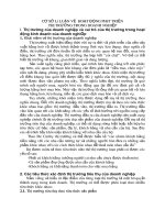 CƠ SỞ LÝ LUẬN VỀ  HOẠT ĐỘNG PHÁT TRIỂN THỊ TRƯỜNG TRONG DOANH NGHIỆP