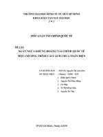 NGĂN NGỪA KHỦNG HOẢNG tài CHÍNH QUỐC tế một CHƯƠNG TRÌNH cải CÁCH CHƯA TOÀN DIỆN 