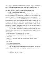 THỰC TRẠNG, PHÂN TÍCH MÔI TRƯỜNG KINH DOANH VÀ QUY TRÌNH PHỤC VỤ KHÁCH HÀNG CỦA CÔNG TY DỊCH VỤ MARKETING TCM
