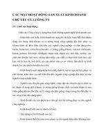 CÁC MẶT HOẠT ĐỘNG SẢN XUẤT KINH DOANH CHỦ YẾU CỦA CÔNG TY