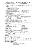 Văn 7 Giữa kỳ 1 (10-11)