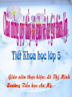 Khoa học 5: Phòng bệnh sốt rét