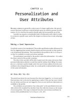 Personalization and User Attributes