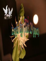 luyen tap (tiet 29) (10nc)