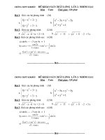 đề khảo sát lớp 11