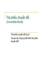 Trái phiếu chuyển đổi (Convertible Bonds)