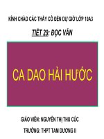 Tiết 29 - Đọc văn: Ca dao hài hước
