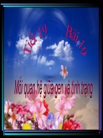 Bài 19: Mối quan hệ giữa Gen và tính trạng