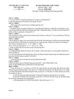 HSG Vĩnh Phúc 2009-2010